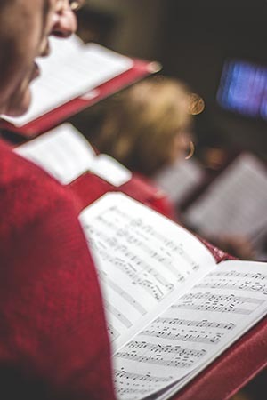 Groepsles zangles Utrecht – samenzang en harmonie
